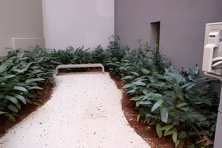 Ninho de Elegância com Toque Paulista