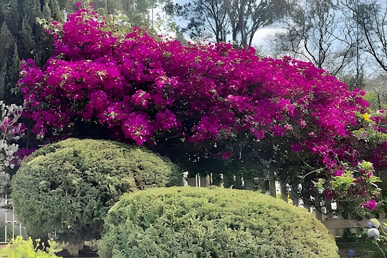 Chácara com vista maravilhosa e piscina