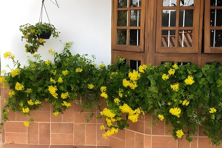Chácara com vista maravilhosa e piscina