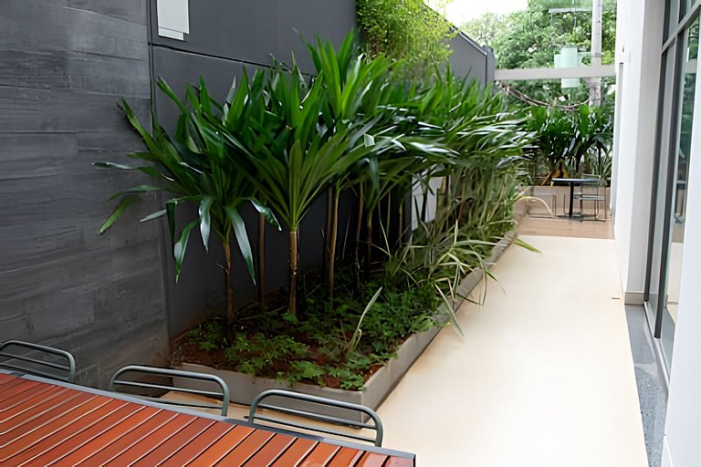 Seu Capítulo Paulistano|Capítulo 1: Serenidade